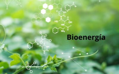 Bioenergía a partir de la combinación de residuos complementarios