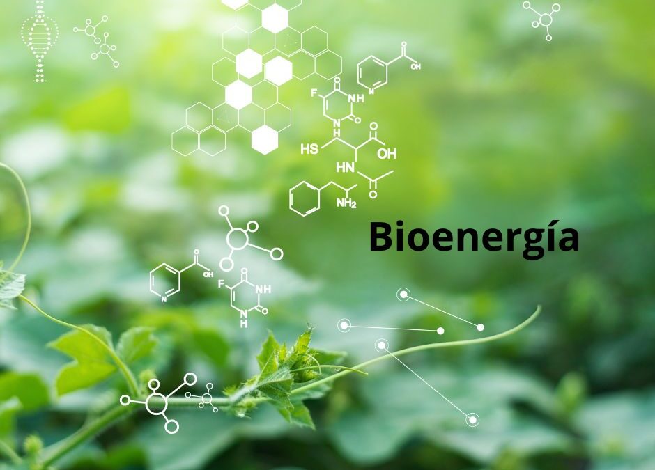 Bioenergía a partir de la combinación de residuos complementarios