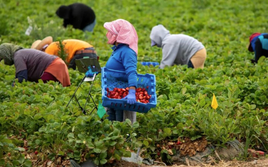Las mujeres migrantes, EE.UU. las necesita, pero el relato dominante las trata como un problema.