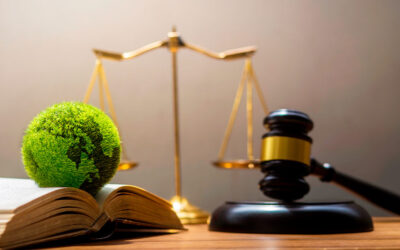 La protección ecológica, la restauración y la justicia ambiental como componentes centrales de la acción del Estado